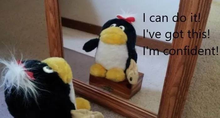 self-confidence-penguins